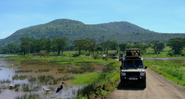 Kenya Safari